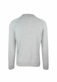 Maglione grigio chiaro con maniche lunghe a raglan, polsini a coste e scollatura rotonda. Realizzato in morbido tessuto a maglia, la vista posteriore mostra una texture liscia.