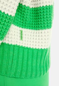 Strickpullover mit grünen und weißen horizontalen Streifen, mit einem gerippten grünen Saum und einem kleinen Etikett, auf dem "MARJAN SPORTS" steht.