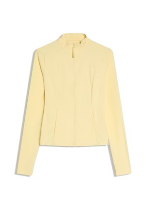 Lichtgele getailleerde jas met lange mouwen, ritssluiting aan de voorkant en subtiele naaddetails op de romp, weergegeven op een witte achtergrond.