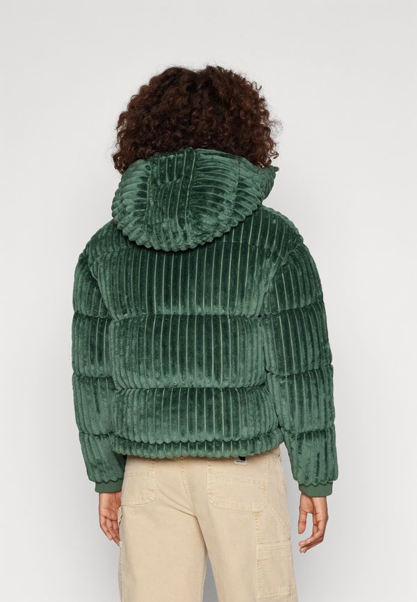 ROMOLO JACKET - Winter jacket2
