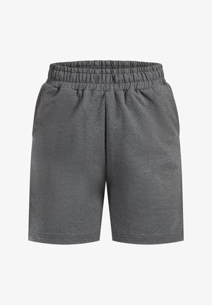 Grå atletiske shorts lavet af blød stof, med en elastisk talje, sidelommer og en diskret logo-brodering nær kanten.