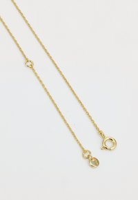 Collier en chaîne dorée avec un design de maillons délicats, un fermoir à mousqueton et un petit pendentif rond, le tout en finition polie.