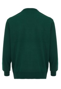 Pulover verde tricotat, cu guler rotund, mâneci lungi și mansete cu model de jerseu. Textură fină, cu o culoare uniformă și fără modele.