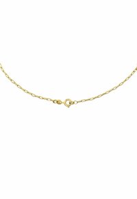 Collana in metallo dorato con design a catena intrecciata e chiusura a moschettone. Texture liscia con una lucentezza sottile, stile minimalista.