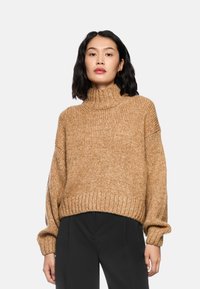 Grober Strick-Turtleneck-Pullover in warmem Beige, mit lockeren Ärmeln und geripptem Saum. Kombiniert mit schwarzen Hosen, minimale Details.