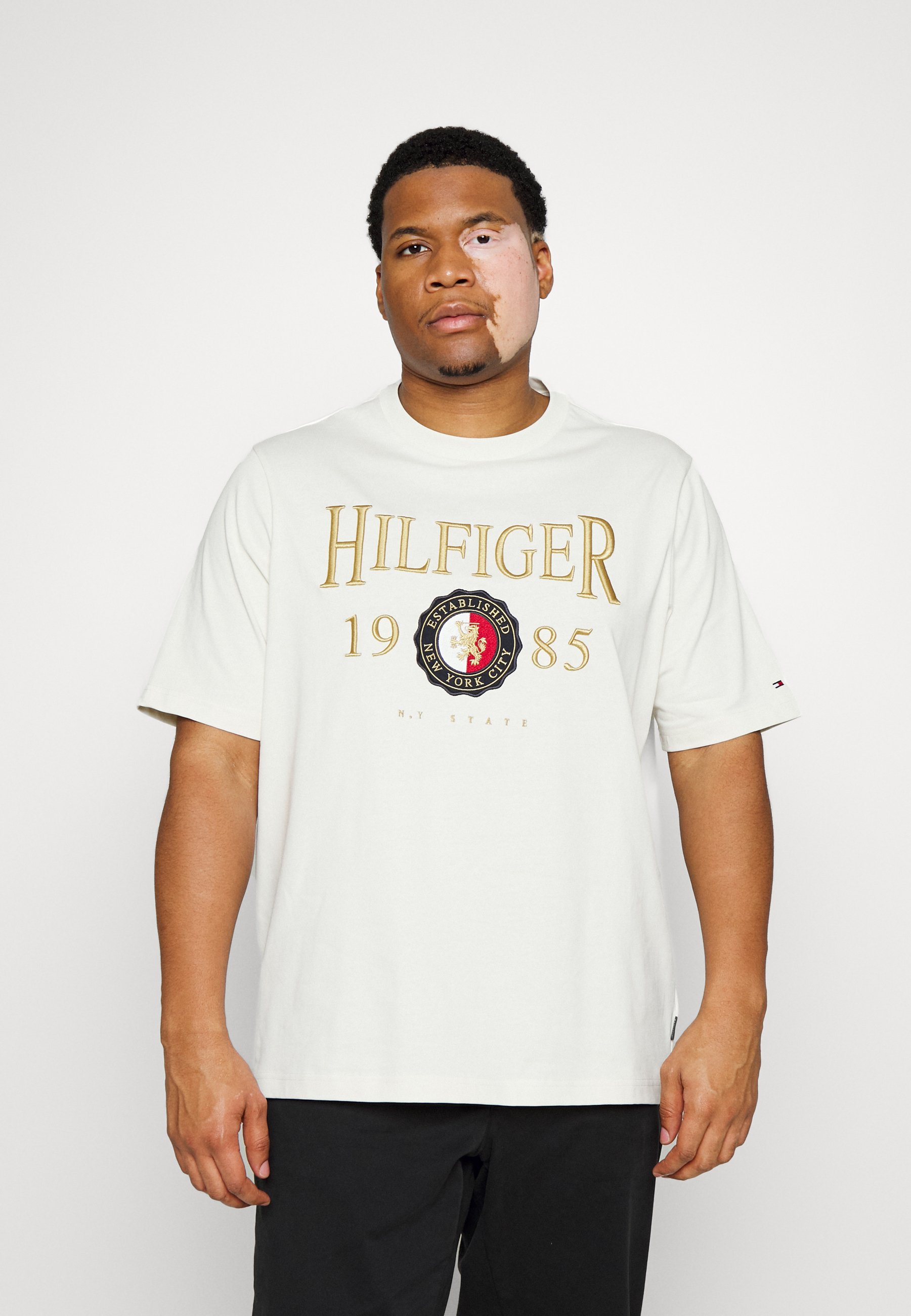 Tommy Hilfiger ICON CREST TEE - Print T 