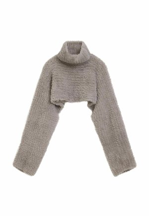 Grauer, kuscheliger, kurz geschnittener Rollkragenpullover mit langen Ärmeln und weicher Textur, präsentiert vor weißem Hintergrund.