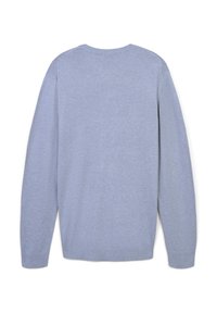 Maglione a maniche lunghe di colore blu chiaro, con scollo rotondo, colletto, polsini e orlo a costine, mostrato da dietro su uno sfondo bianco.