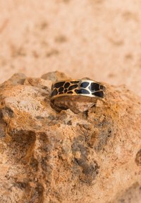 Bague noire et or présentant un motif géométrique, posée sur une surface rocheuse texturée, mettant en valeur une finition lisse et un design arrondi.