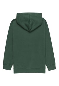 Element CORNELL 3.0  - Hoodie - tkr