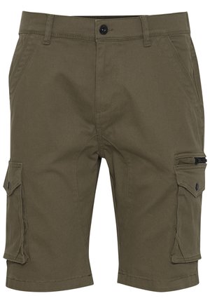 Olivgrüne Cargo-Shorts mit mehreren Taschen, einer Reißverschlusstasche und einem Knopfverschluss. Hergestellt aus robustem Stoff mit glatter Textur.