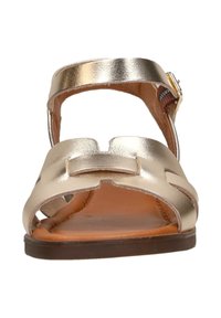 Vorderansicht einer metallic goldenen Ledersandale mit Knöchelriemen und flacher brauner Sohle.