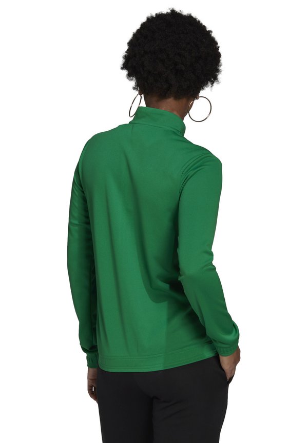 ENTRADA22 TRACK - Training jacket - gruenweiss - Main Image