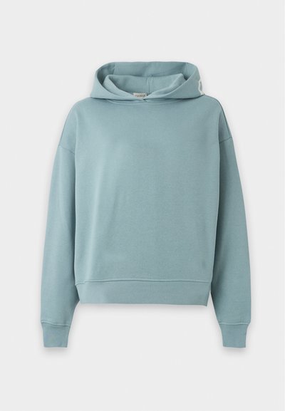Sweat à capuche bleu clair avec manches longues, poignets et ourlet côtelés, présenté sur fond blanc uni. Aucun motif ou logo visible.