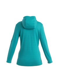 Hoodie turchese a maniche lunghe con una texture morbida, caratterizzato da una forma aderente e un cappuccio piccolo. Senza accenti o motivi visibili.