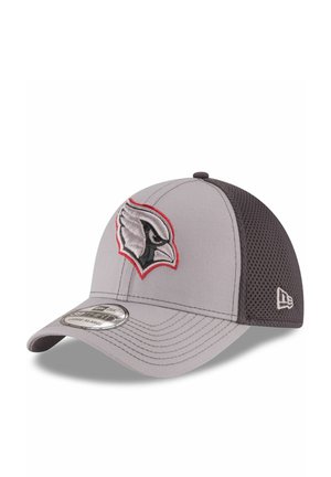 THIRTY STRETCH ARIZONA CARDINALS - Cap - grey