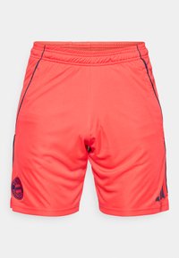 FC BAYERN TRAINING SHORTS - Club wear - red