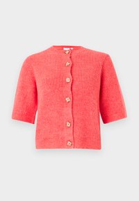 VIBIOLA CARDIGAN - Vesta na kopčanje - dubarry