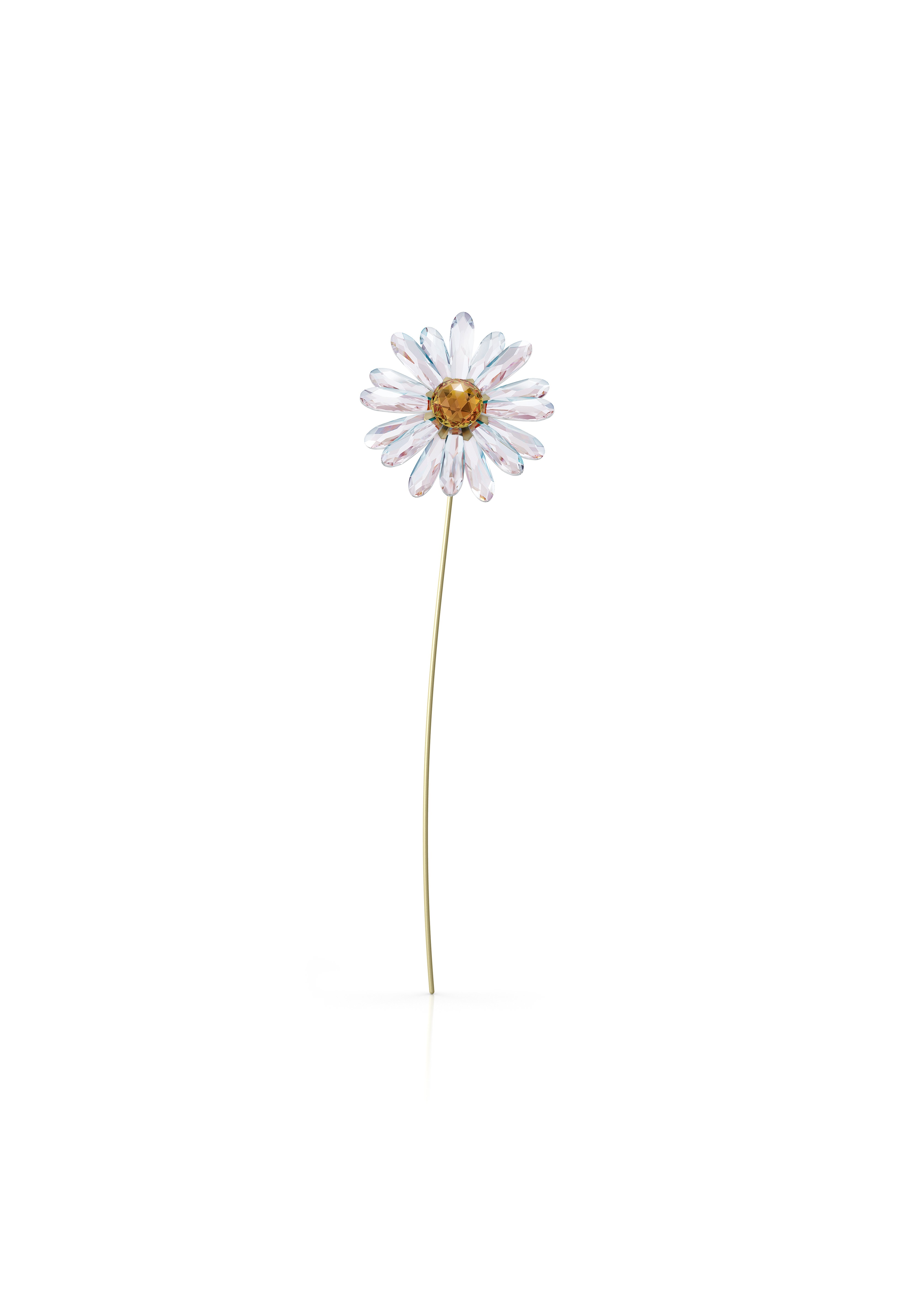 Swarovski GARDEN TALES DAISY - Other accessories - white - Zalando