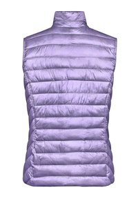 Paarse gewatteerde vest met een hoge kraag, voorzien van een doorgestikt ontwerp en een gladde textuur. Zonder mouwen; lichtgewicht en geschikt voor het dragen in lagen.