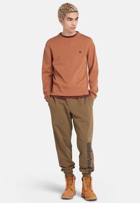 Maglione marrone a girocollo sovrapposto a una maglietta bordeaux, abbinato a jogger color khaki con logo e stivaletti marroni. Texture liscia, vestibilità casual.