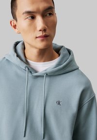 Felpa di cotone azzurro chiaro con cappuccio dotato di lacci, tasca frontale e un piccolo logo ricamato sul petto. Tessuto liscio e vestibilità comoda.