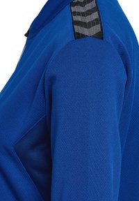 Hummel AUTHENTIC ZIP - Træningsjakke - true blue