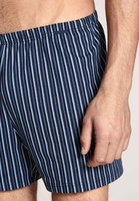 Gestreepte zwemshorts in marineblauw met lichtblauwe verticale strepen. Elastische tailleband, lengte tot halverwege de dij, zachte stofstructuur en zonder zijzakken.