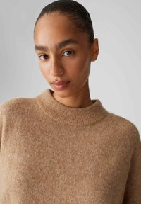 Brauner Strickpullover mit hohem, geripptem Kragen. Weiche Textur und subtile Farbtupfer verleihen ein warmes, gemütliches Aussehen.