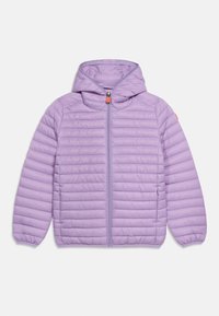 Neselectat, wisteria violet