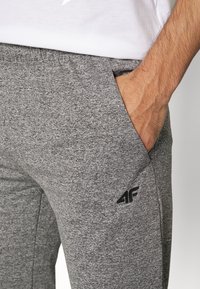 4F Träningsbyxor - light grey