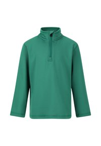 Unausgewählt, alpine green