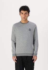 Sweatshirt gri cu mâneci lungi, guler rotund și manșete ribbate. Prezintă o aplicație brodată albastră pe piept. Materialul pare moale.