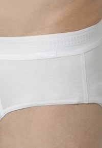 Calida FOCUS - Slip - weiss
