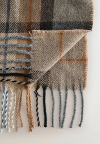 Sciarpa in lana con un motivo a quadri marrone, beige e grigio, caratterizzata da lunghe frange di vari colori, tra cui blu, arancione e nero.