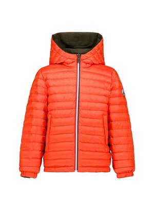 REVERSIBLE  - Piumino - verde