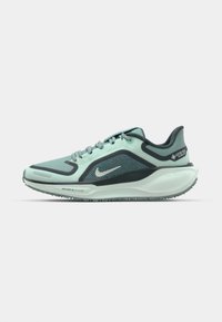 PEGASUS 41 GORE-TEX - Zapatillas running asfalto - cannon/bleached turquoise/barely green/seaweed/mint foam