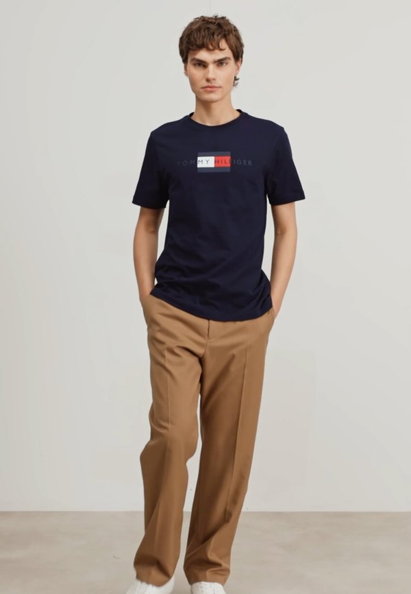 FLAG TEE - Basic T-shirt - desert sky3