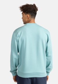 Sudadera azul claro con cuello y puños acanalados. Presenta un corte relajado y una textura suave, mostrada desde la parte de atrás.