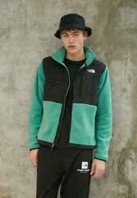 The North Face - DENALI JACKET - Flīsa jaka - deep grass green Miniatūras attēls 1