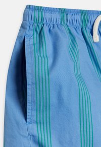 Blauwe shorts met groene verticale strepen, gemaakt van zachte stof, met een elastische tailleband en zijzakken. Eenvoudig koorddetail.