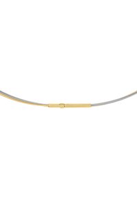 Silber- und Goldkette mit einem schlanken, zylindrischen Verschluss in der Mitte und zwei zarten Strängen, einem aus Gold und einem aus Silber.