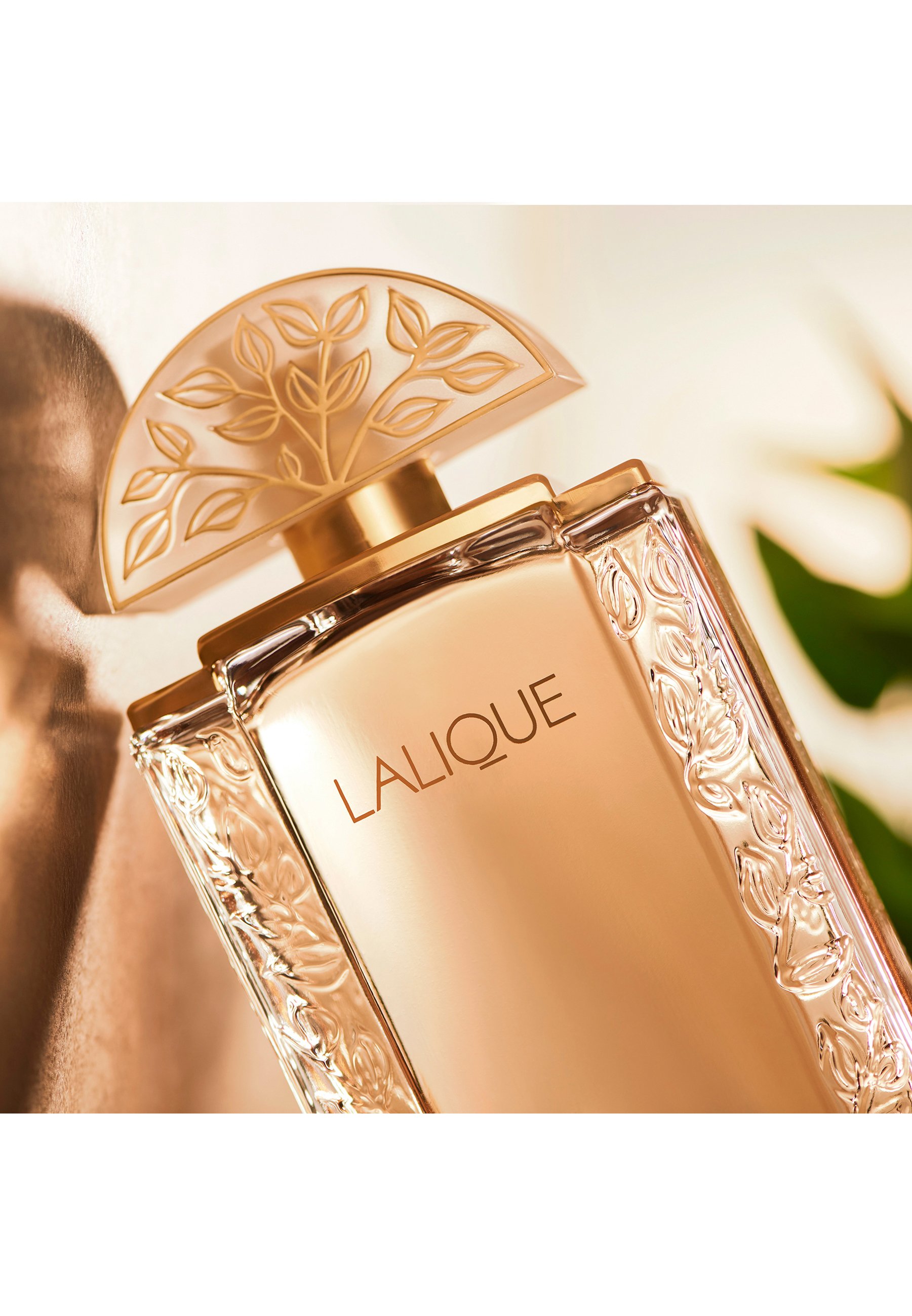 Lalique LALIQUE DE LALIQUE EDP - Eau de parfum - Zalando.nl