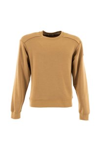 Felpa marrone realizzata in tessuto morbido, con scollo a girocollo, maniche lunghe e polsini a costine. Texture liscia con dettagli sottili sulle cuciture delle spalle.