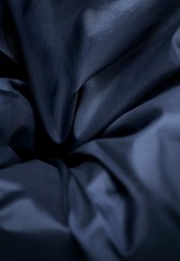 Mammut ALBULA IN JACKET MEN - Vinterjacka - marine