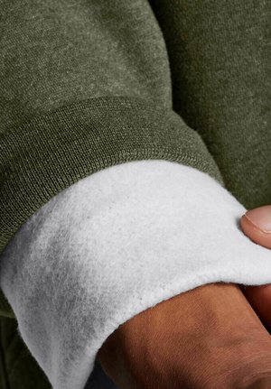 ICON FLEECE - Zip-up sweatshirt - olive
