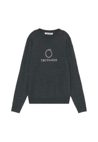 Grauer Strickpullover mit langen Ärmeln, rundem Halsausschnitt und weißem Trussardi-Logo auf der Brust. Weicher Stoff mit gerippten Bündchen und Saum.