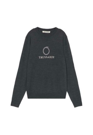 Grå strikket sweater med lange ærmer, rund halsudskæring og Trussardi-logo i hvidt på brystet. Blød tekstur med ribbede manchetter og kant.
