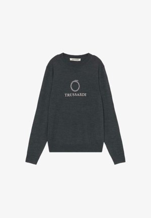 Grå strikket sweater med lange ærmer, rund halsudskæring og Trussardi-logo i hvidt på brystet. Blød tekstur med ribbede manchetter og kant.