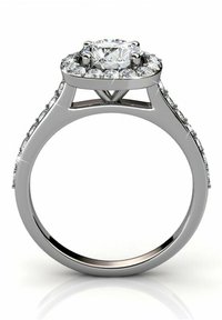 Platina verlovingsring met een grote ronde diamant in het midden, omringd door kleinere diamanten, met een slanke band en gedetailleerde accenten.